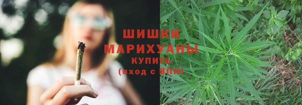 spice Снежинск