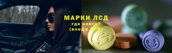 гашик Снежногорск