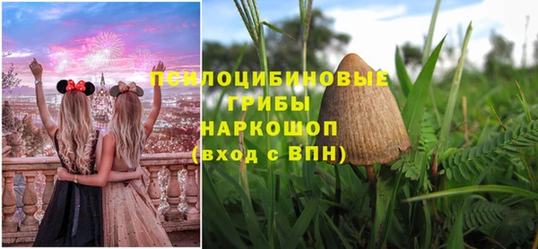 гашик Снежногорск