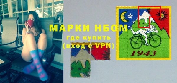 гашик Снежногорск