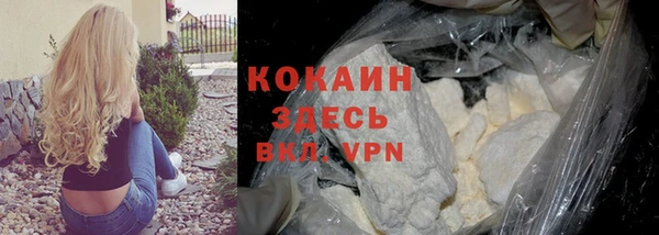 гашик Снежногорск