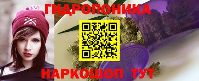 индика Кунгур