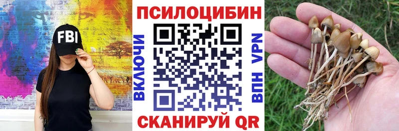 купить наркотики цена  блэк спрут ССЫЛКА  Псилоцибиновые грибы GOLDEN TEACHER  Назрань 