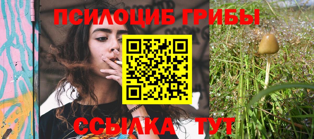 Псилоцибиновые грибы ЛСД Назрань