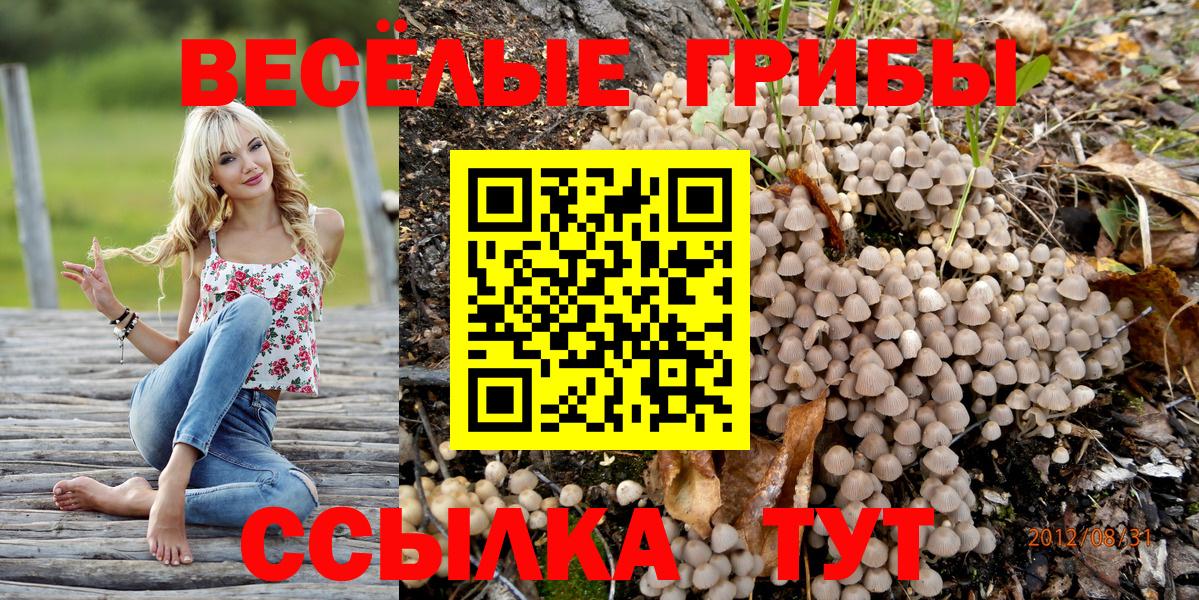 Псилоцибиновые грибы Cubensis  наркотики  Назрань  Вход с VPN 