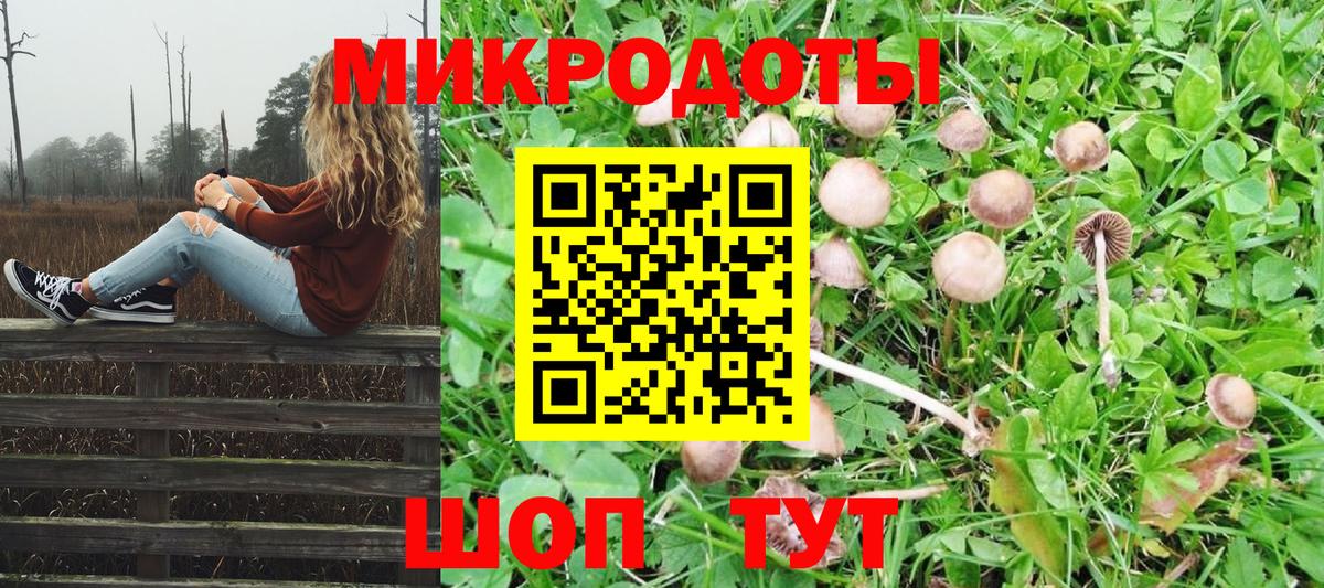 Галлюциногенные грибы Psilocybe Назрань