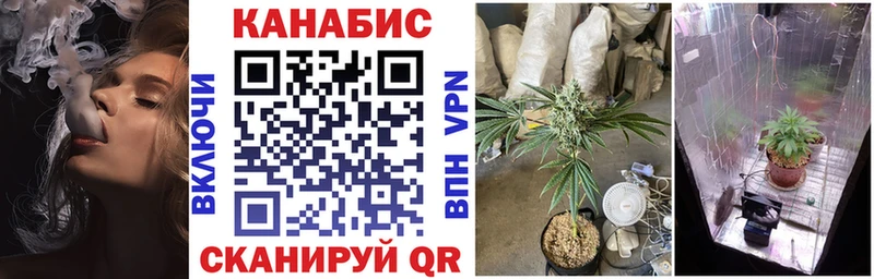 наркошоп  Назрань  МАРИХУАНА план 
